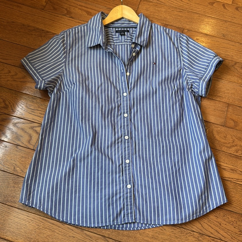 Tommy Hilfiger BLue & White Striped Button-Up Short Sleeve Shirt - Picture 3 of 13